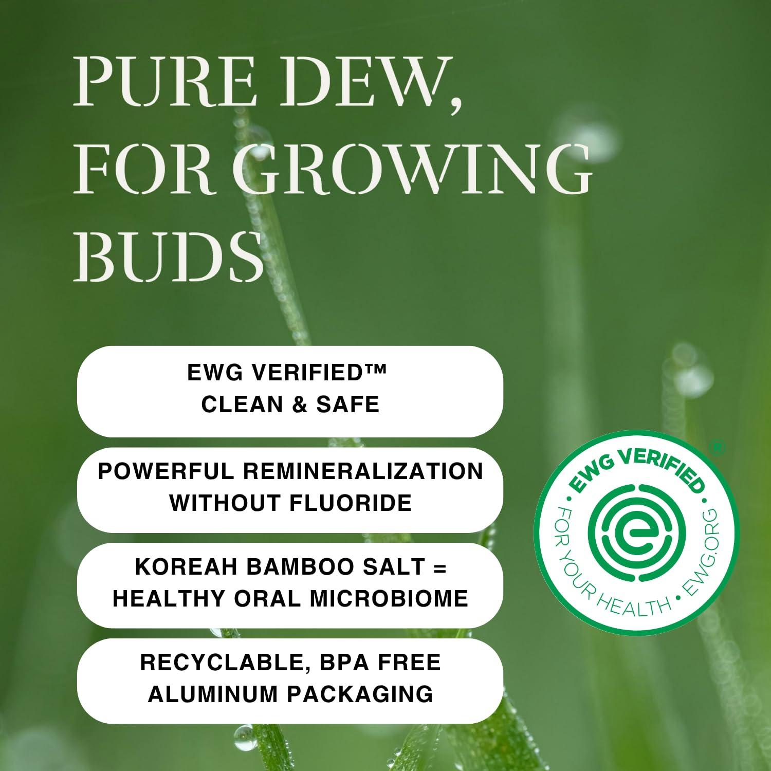 OJOOK OJOOK Kids Fluoride Free Bamboo Salt Toothpaste with nHA - Pure Dew | Nano Hydroxyapatite, Remineralizing, Strengthening Enamel for First Teeth, Safe to Swallow (3oz)