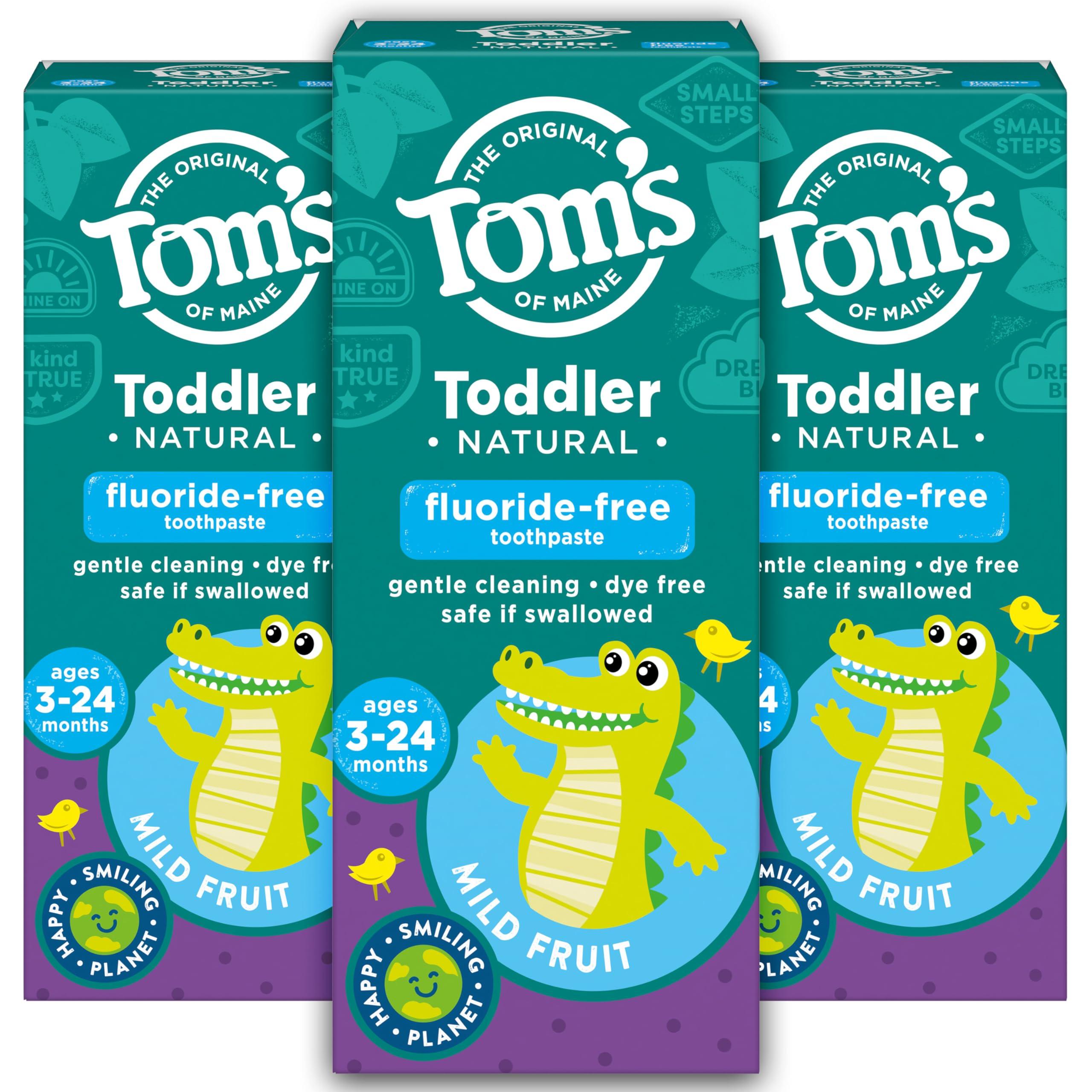 Tom's of Maine Tom\'s of Maine Fluoride-Free Toddler Training Toothpaste, Mild Fruit, 1.75 oz. 3-Pack (Packaging May Vary)