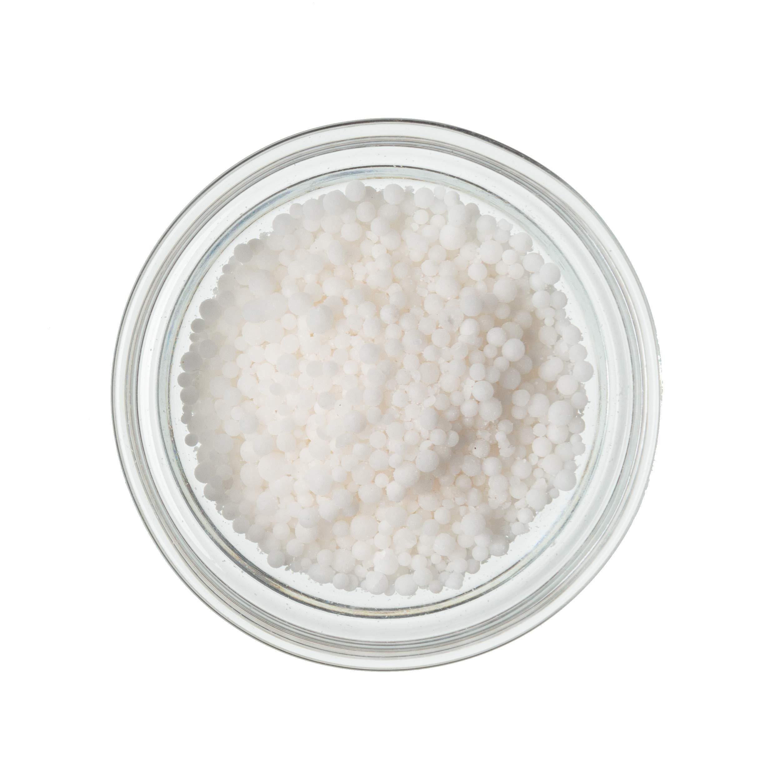 Modernist Pantry Sodium Nitrate Non-GMO Gluten-Free Vegan OU Kosher Certified - 50g/2oz