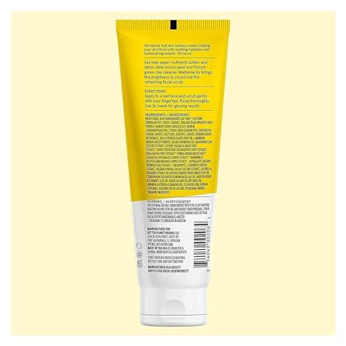 Acure Acure Brightening Facial Scrub for a Youthful, Brighter, Radiant Complexion | With Sea Kelp & French Green Clay, 4 Fl Oz