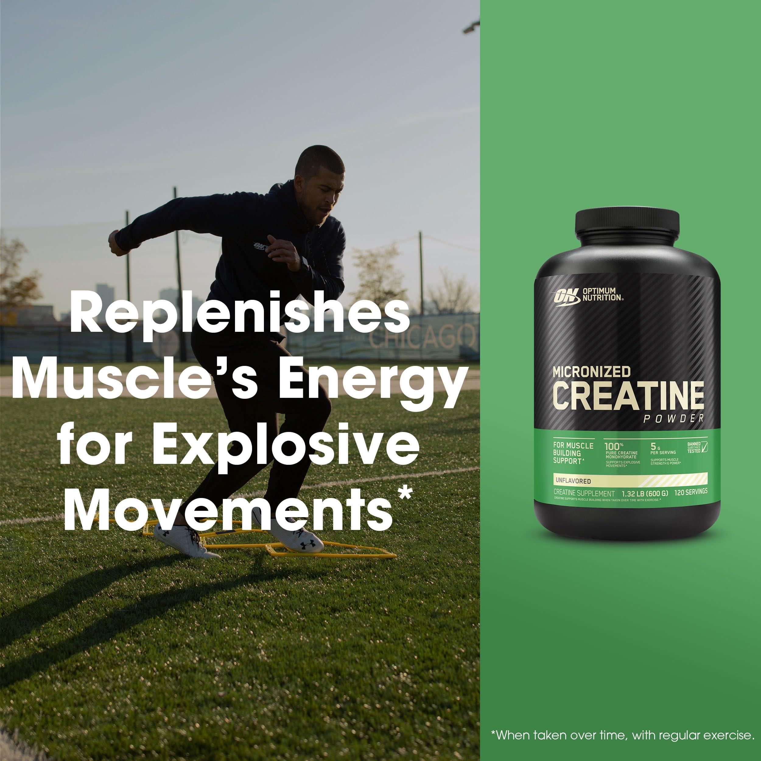 Optimum Nutrition Optimum Nutrition Micronized Creatine Monohydrate Powder, Unflavored, 120 Servings, 600 Grams (Packaging May Vary)