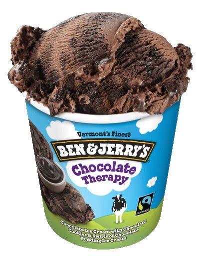 Ben and Jerry\'s Ben & Jerry\'s Non-GMO, Cage-Free, Fairtrade Ingredient Ice Cream Pints, Pack of 6 (Chocolate Therapy)