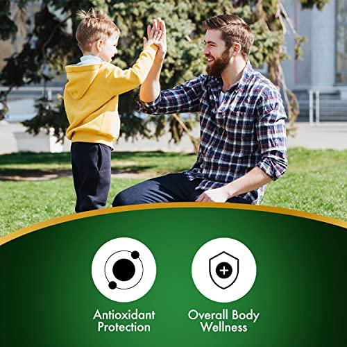 LABO Nutrition LABO Nutrition Brazilian Green Propolis Ultimate - Contains >7% or 28mg/Serving Artepillin C & >5% Flavonoids, for Immune & Brain Support, Natural, High Concentrate & Premium, 60 Veg Capsulesx3