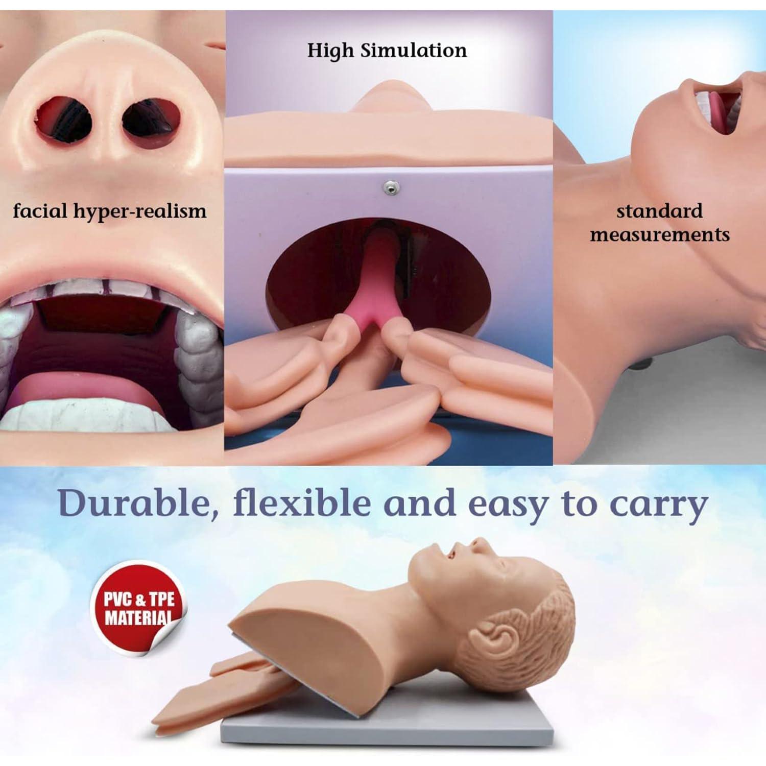 DAZULI Intubation Manikin Training Nursing Mannequin PVC Oral Nasal Intubation Manikin with Tooth Alarm Device Simulator Airway Management Trainer Intubation Head Teaching,220V