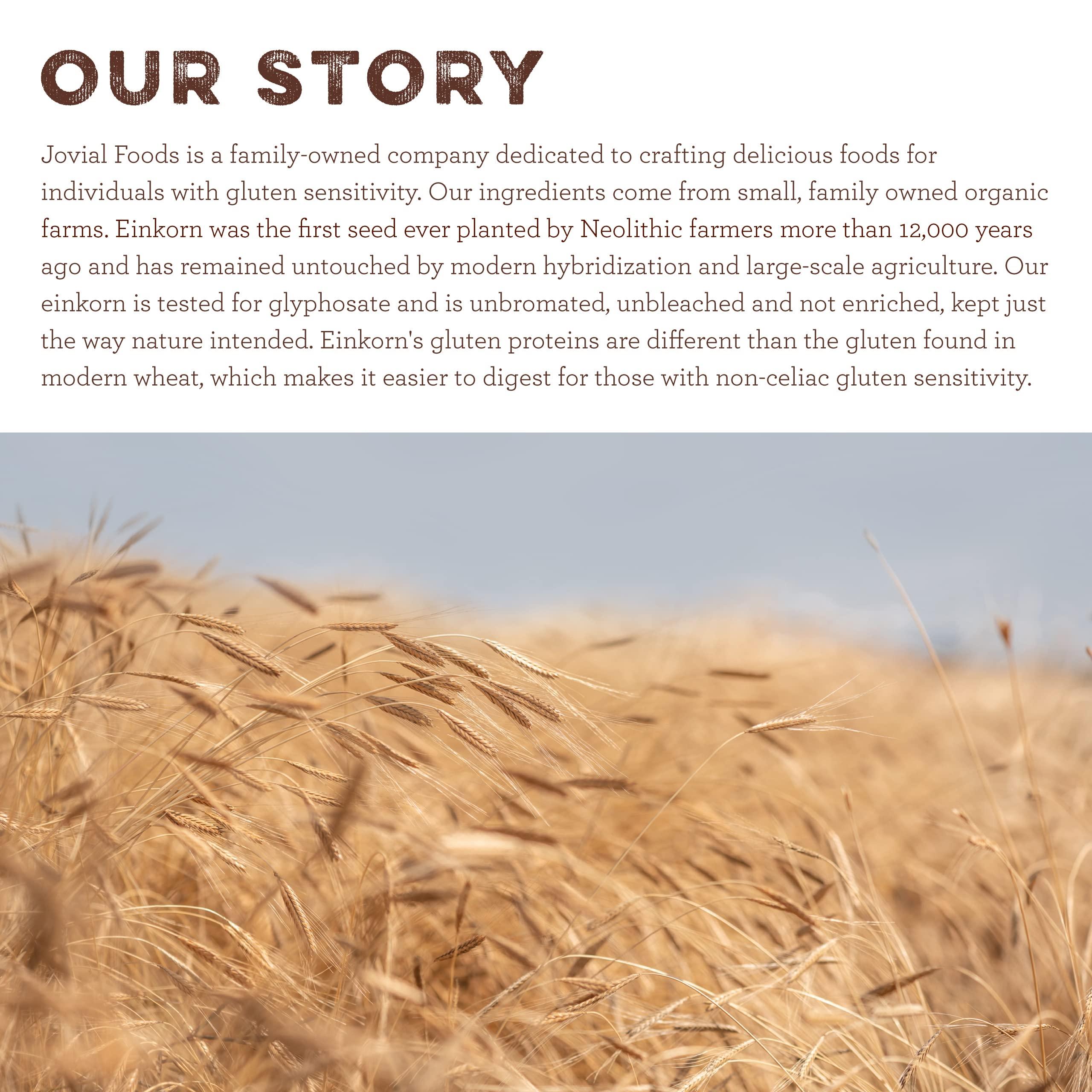 Jovial Jovial Einkorn 100% Organic Einkorn Whole Wheat Flour - Baking Flour, High Protein, USDA Certified Organic, Unbleached Flour, Product of Italy - 32 Oz