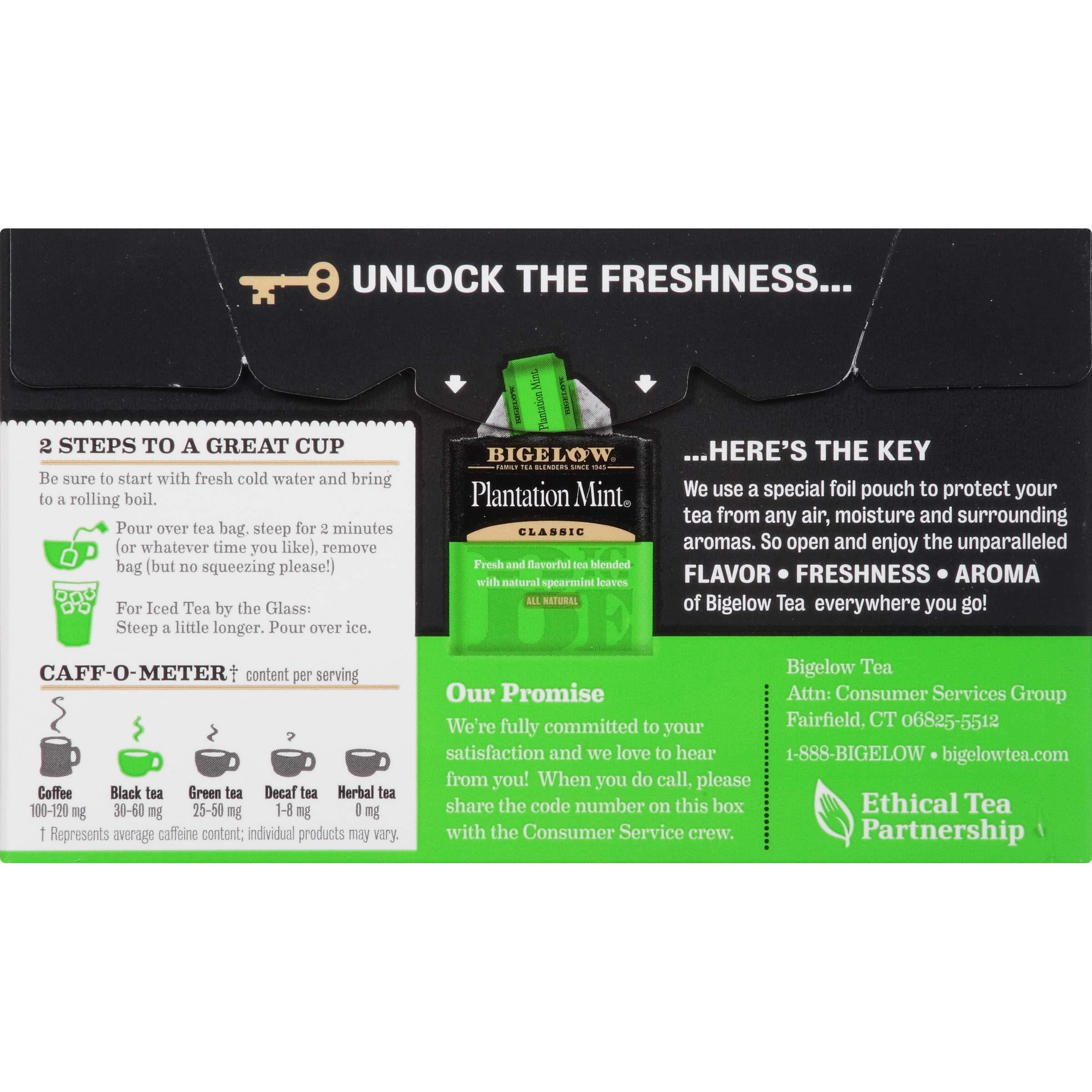 Bigelow Tea Bigelow Tea Perfectly Mint Black Tea (Pack of 6) and Mint Medley Herbal Tea (Pack of 6)