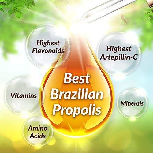AFC AFC Japan Brazilian Green Propolis Extract – Highest Artepilin C (>2.8% or >28mg/ml) & Flavonoids (>17mg/ml), Premium Quality, for Immune Booster, Tincture, Concentrated Liquid
