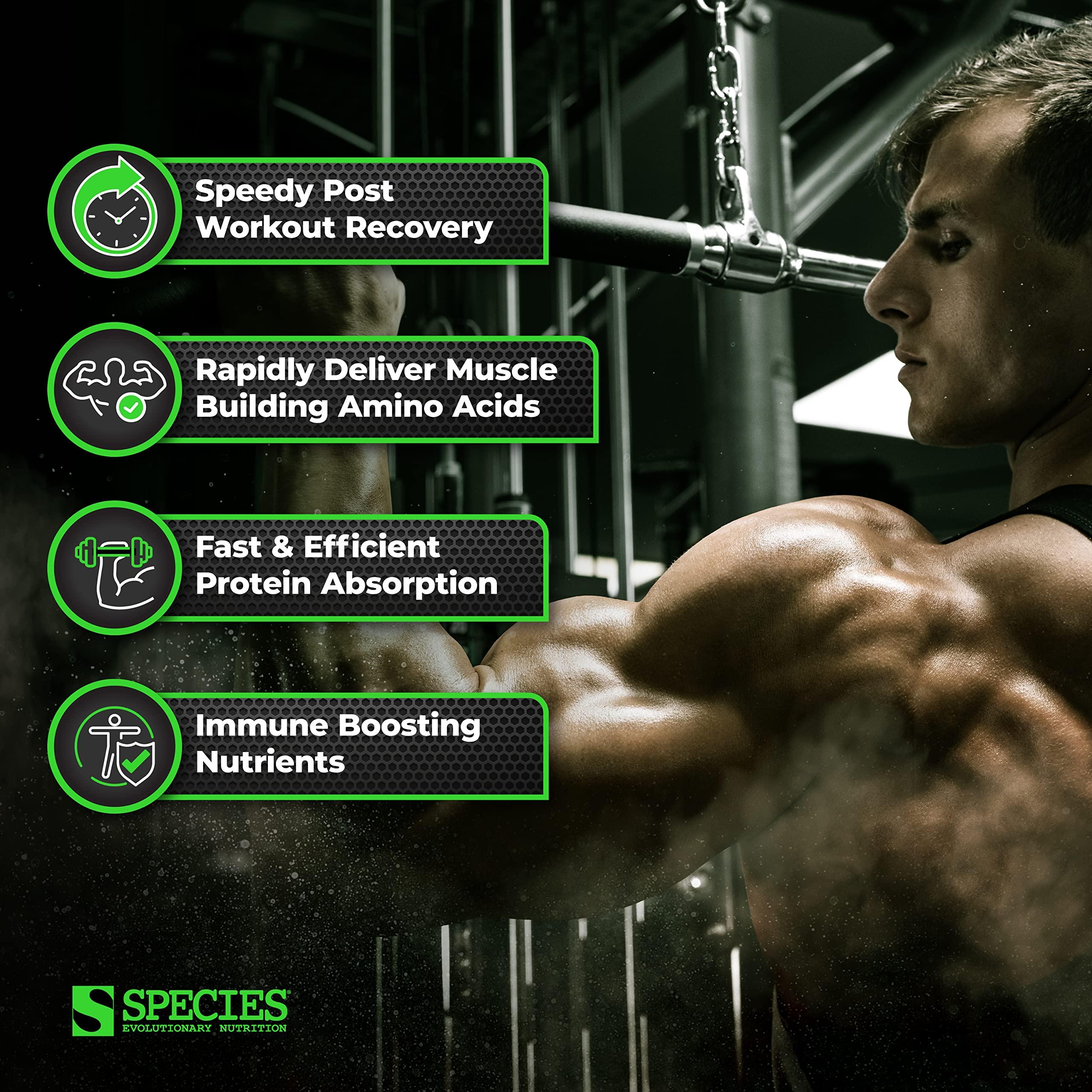 Species Nutrition Species Nutrition Isolyze Whey Protein Powder, 100% Whey Isolate for Muscle Building, 27.5g Protein Per Scoop, No Sugar & Low Fat (Coffee, 22 Servings)