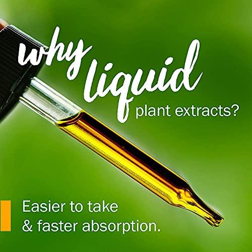 Herb Pharm Herb Pharm Certified Organic Comfrey Liquid Extract - 1 Ounce (DCOMF0)