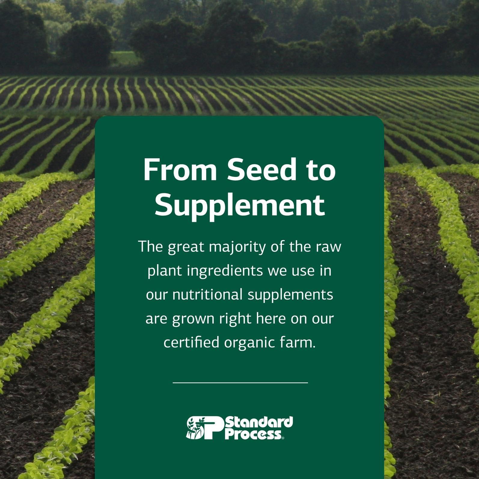 Standard Process Inc. Standard Process Catalyn - Whole-Food Based Foundational Support for General Wellbeing with Vitamins D, C, A & B6, Thiamine, Riboflavin, Magnesium Citrate & More - 90 Tablets