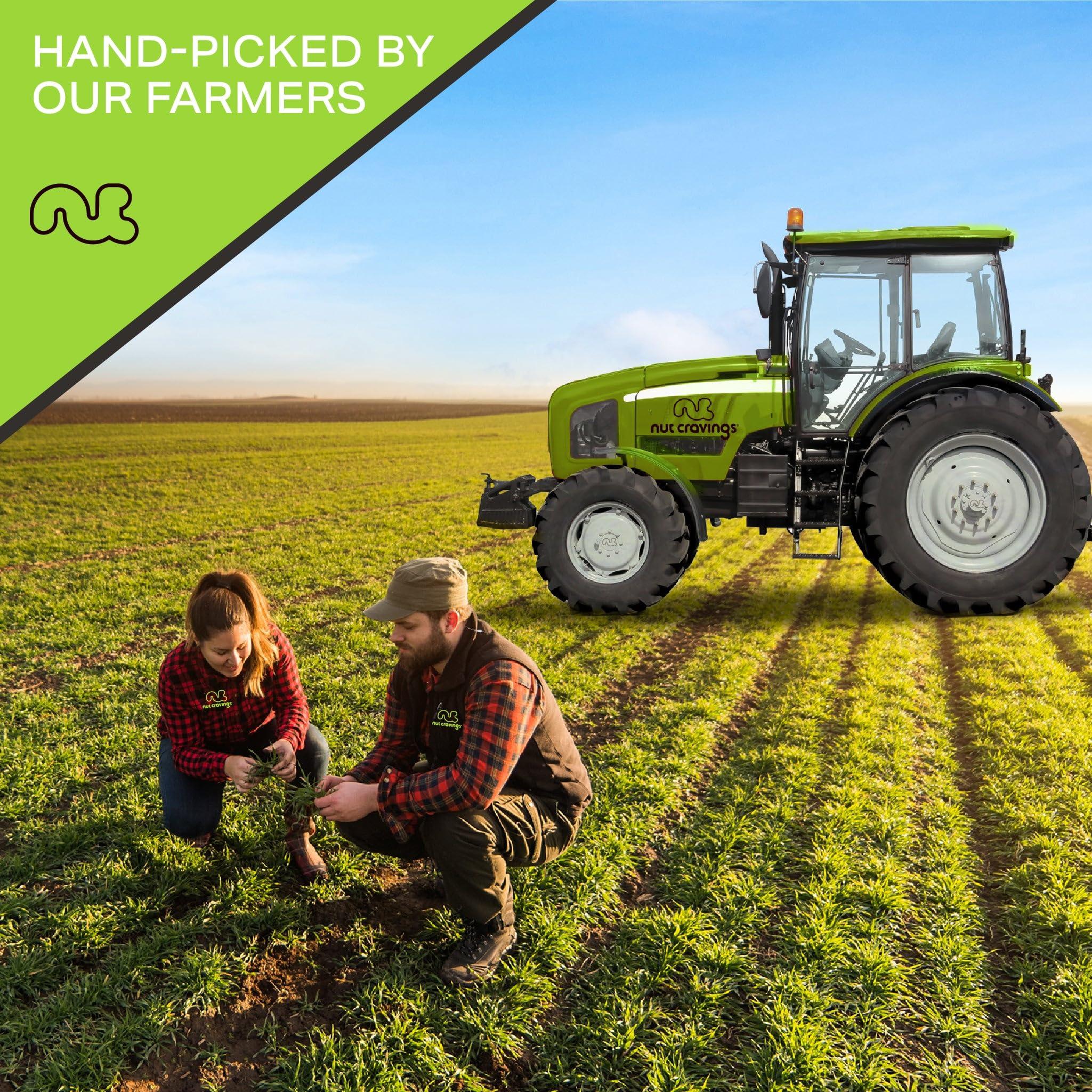 Nut Cravings NUT CRAVINGS - Raw Brazil Nuts, Unsalted, No Shell, Whole, (8oz - 1 Pack) Bulk Nuts Packed Fresh in Resealable Bag - Kosher Healthy Snack, Natural Keto Vegan -