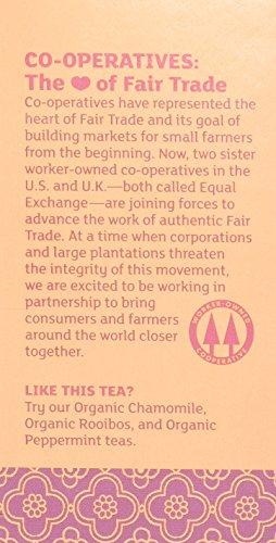 Equal Exchange Equal Exchange Organic Vanilla Rooibos Tea, 20-Count