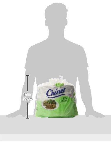 Chinet Chinet Classic White Paper Dinner Plates, 10 3/8 Inch, 165 Count, Whitish Brown (CHINET165DINER)