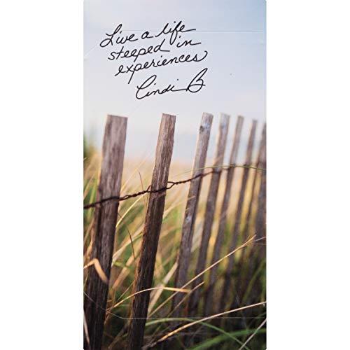 Bigelow steep by Bigelow Organic Rooibos Hibiscus Herbal Tea, Caffeine Free, 20 Count (Pack of 6), 120 Total Tea Bags