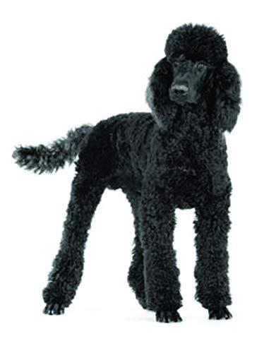 Art of Eric Gunty 1/4 Sheet - Standard Poodle Dog Birthday - Edible Cake/Cupcake Party Topper - D6745