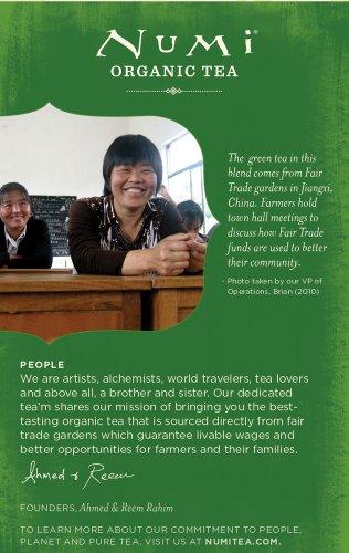 Numi Numi Organic Tea Mate Lemon, 18 Count (Pack of 2), Yerba Mate Green Tea Blend (Packaging May Vary)