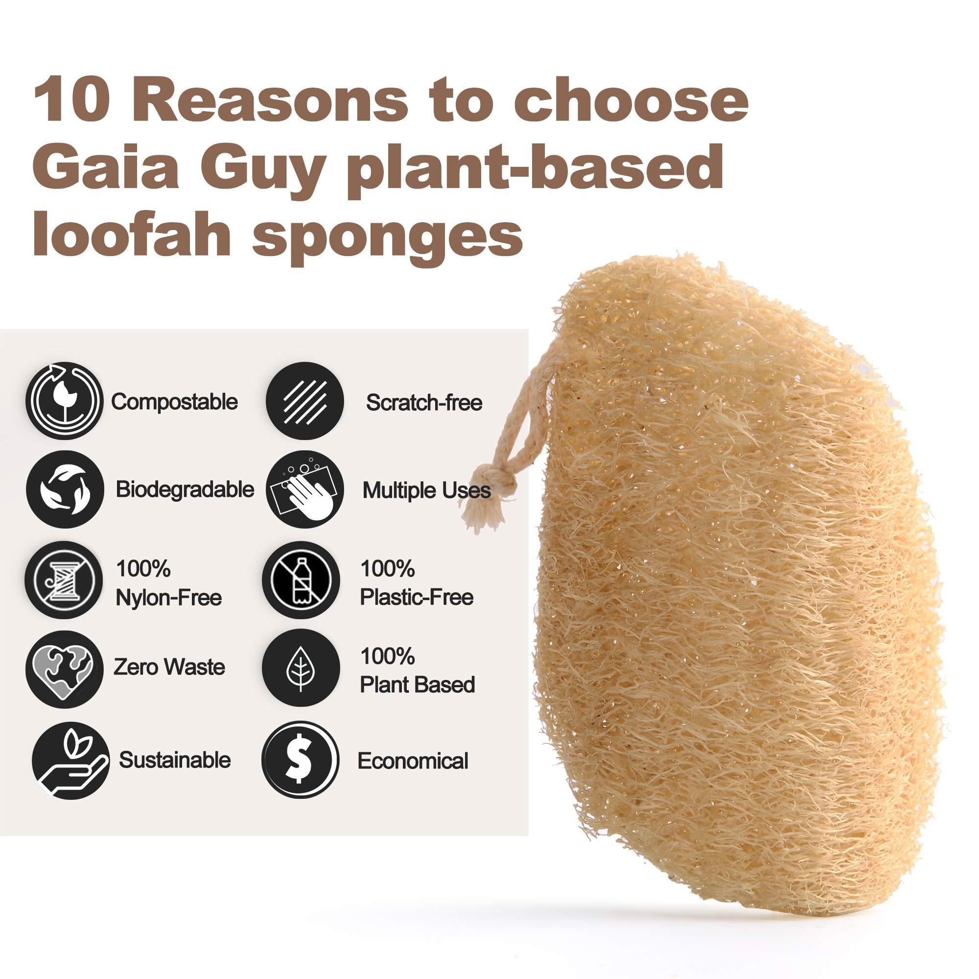 Gaia Guy Zero Waste Kitchen and Bath Set - Wood Handled Brushes with Natural Bristles and Loofah Sponges