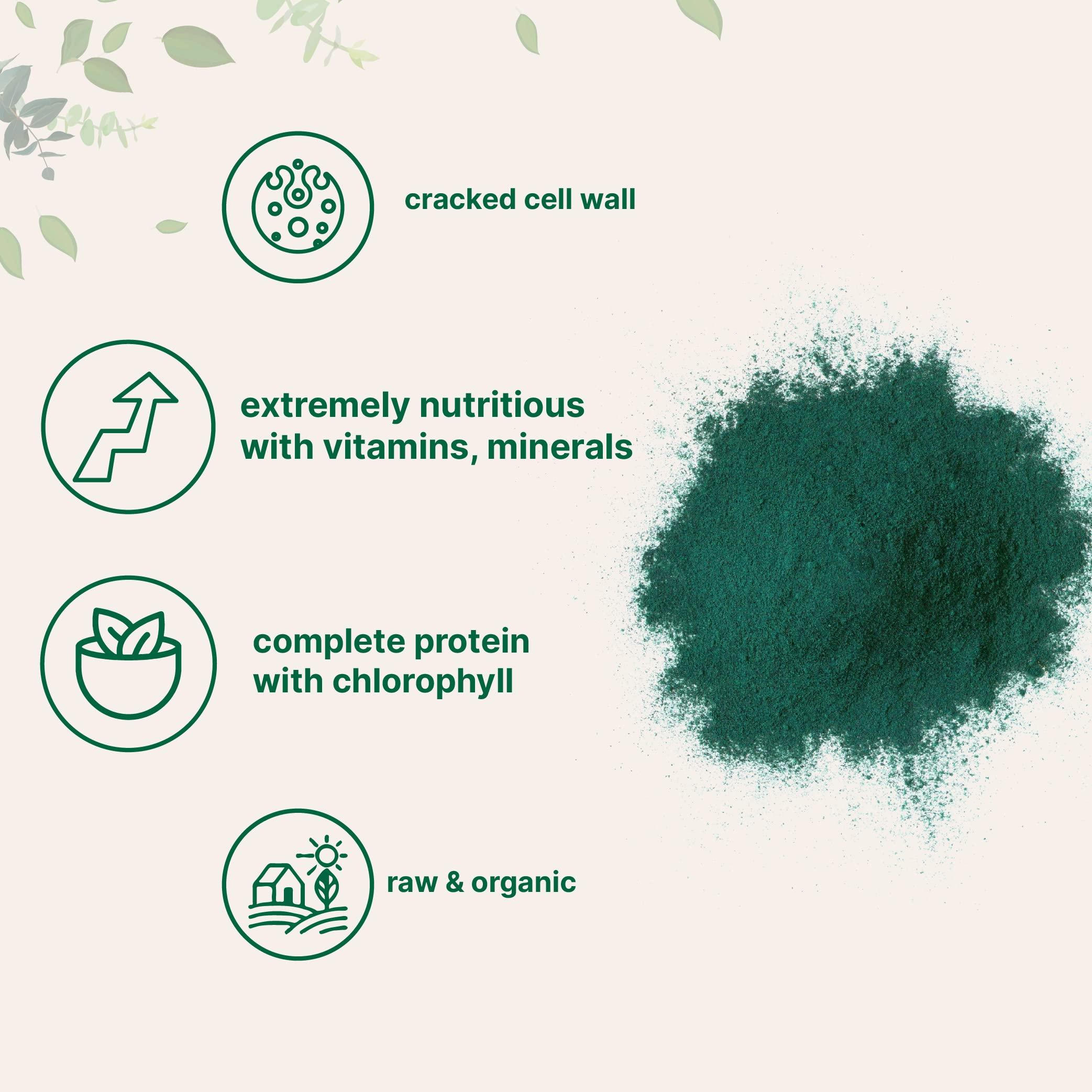 Micro Ingredients Micro Ingredients Organic Chlorella Powder, 10 Ounce, Broken Cell Wall, Rich in Vegan Proteins & Vitamins, Raw, Bulk Premium Chlorella Supplement, Vegan Friendly, Non-Irradiation