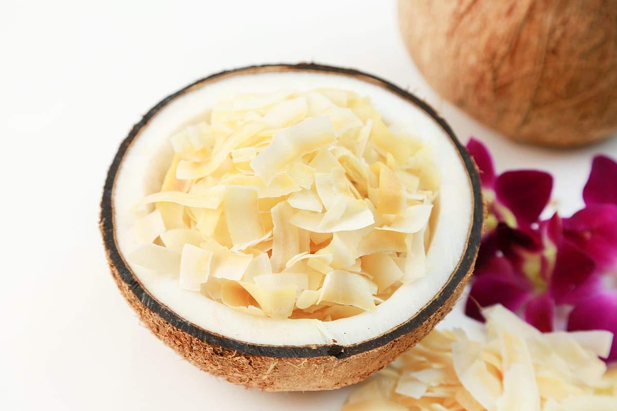 Food to Live Food to Live Organic Coconut Chips, 1.5 Pounds - Non-GMO, Kosher, Raw, Desiccated, Unsweetened, Unsulfured, Dried Flakes, Vegan, Keto, Bulk, Great for Baking