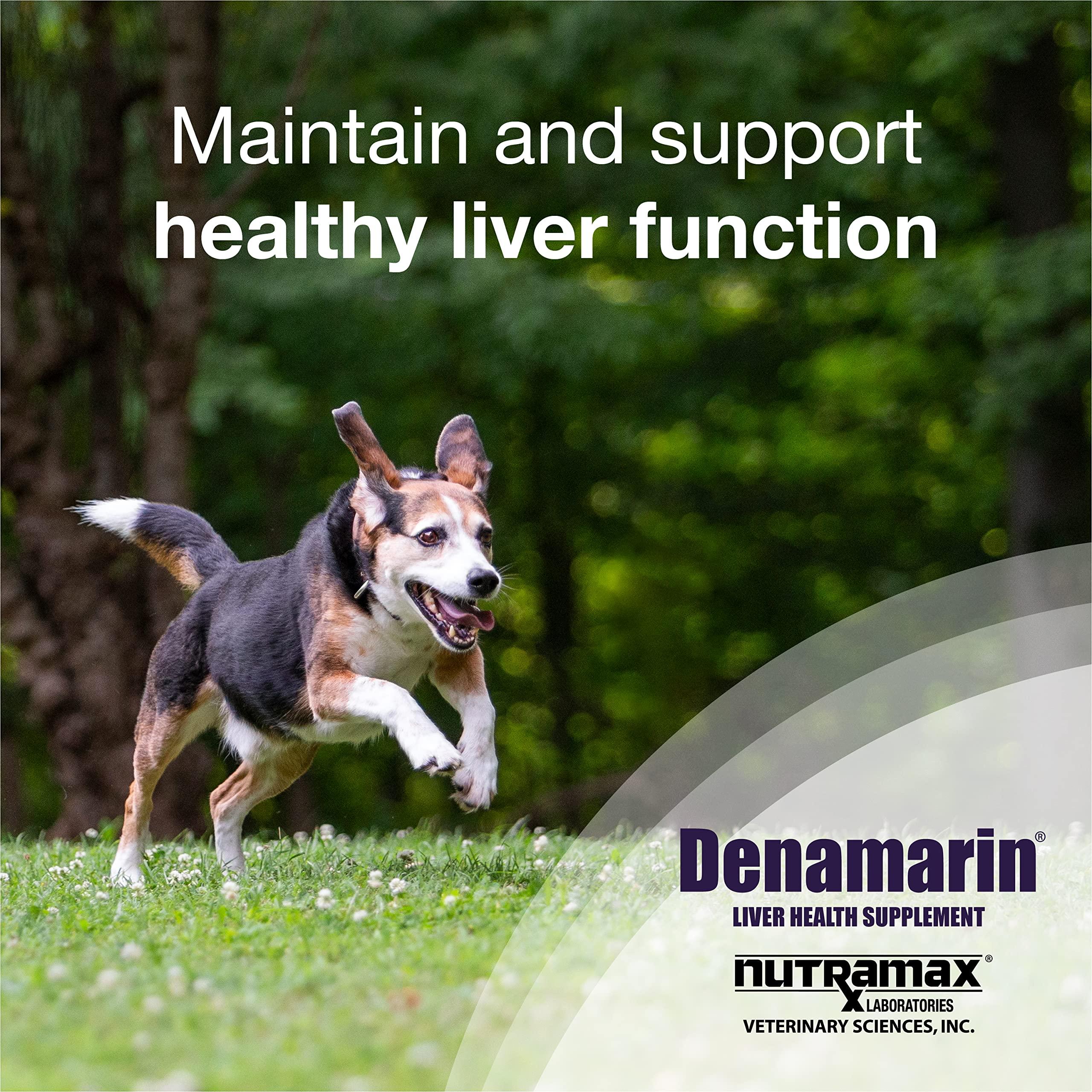 Nutramax Laboratories Nutramax Laboratories Denamarin Liver Health Supplement for Medium Dogs - With S-Adenosylmethionine (SAMe) and Silybin, 30 Tablets