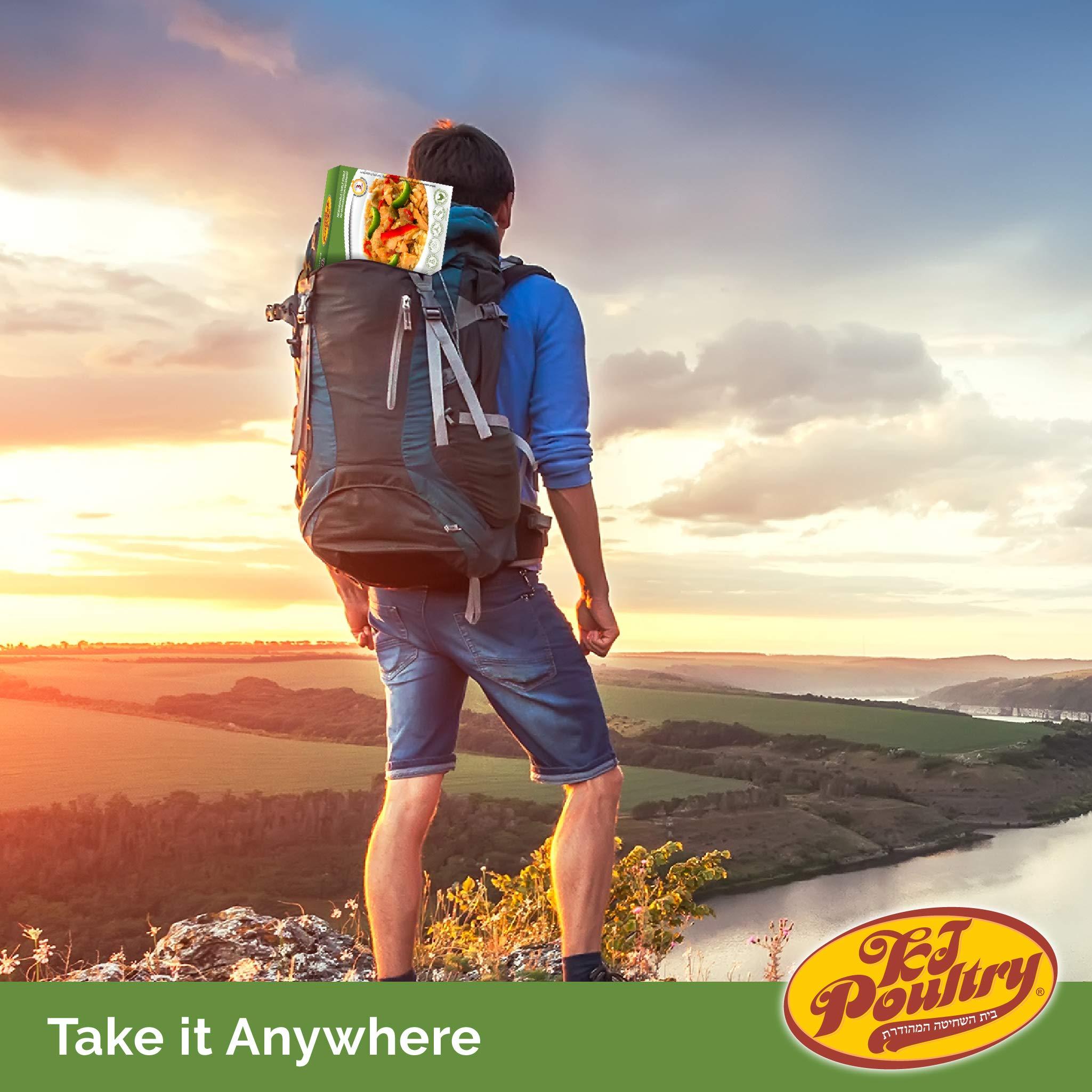 KJ Poultry KJ Poultry Kosher Ready Meals - Chicken Chow Mein, MRE Meat Meals Ready to Eat, Gluten Free (3 Pack) Prepared Entree Fully Cooked, Shelf Stable Microwave Dinner Travel Military Camping Survival