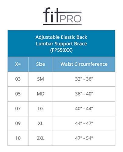 FitPro FitPro FP55007 Adjustable Elastic Back Lumbar Support Brace, Large, Amazon Exclusive Brand, White