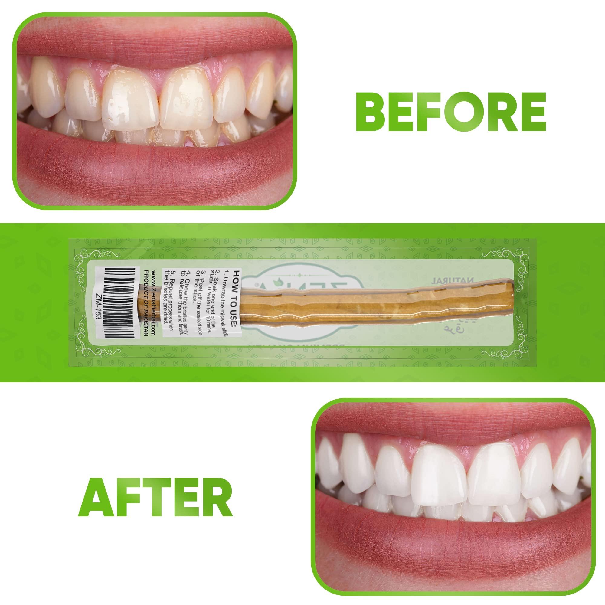 Zenia Zenia Sewak Natural Miswak Toothbrush - Vacuum Sealed Natural Flavor Traditional Peelu Toothbrush Stick - for Healthy Gums, Teeth, and Fresher Breath (Pack of 12)