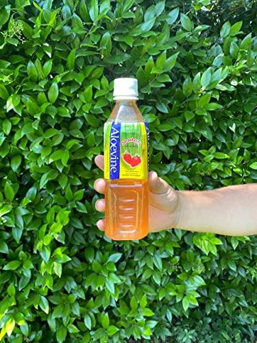 Aloevine Aloevine Aloe Vera Drink (Strawberry, 16.9 oz 10 Pack)