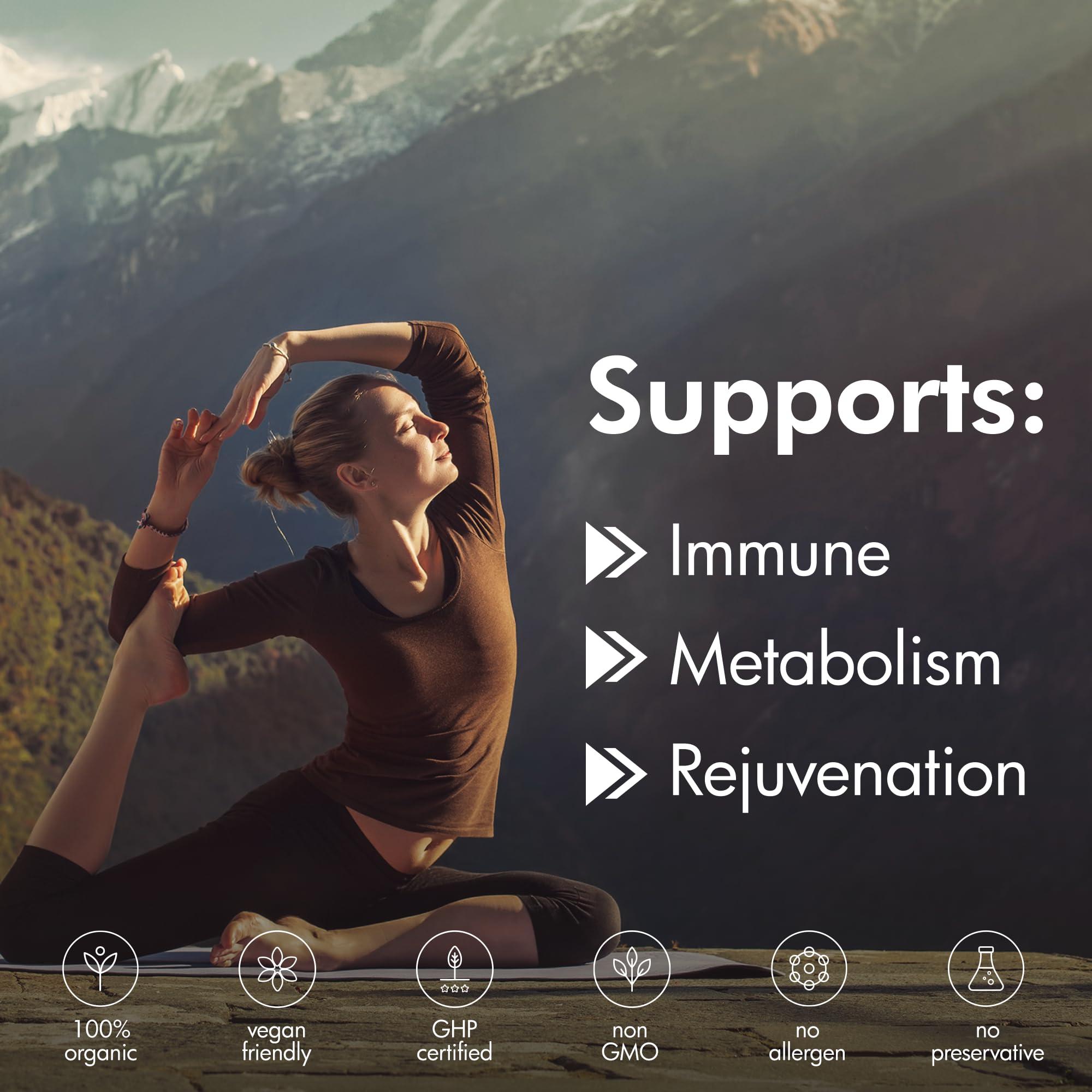 THE MONK Organic Shilajit with Fulvic Acid, Humic Acid, 85+ Minerals- Gold Grade Plus - Same as Resin - Energy, Stamina, Brain Support - 20,000mg, 120 Capsules - Made in The USA