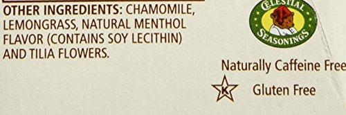 Celestial Seasonings Celestial Wellness Tea, Sleepytime Sinus Soother0-Count (6x20 Bag )