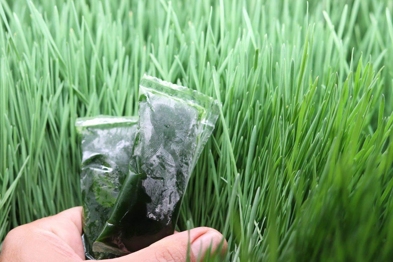 Grass On the Go Wheatgrass Shots (60 Shots)