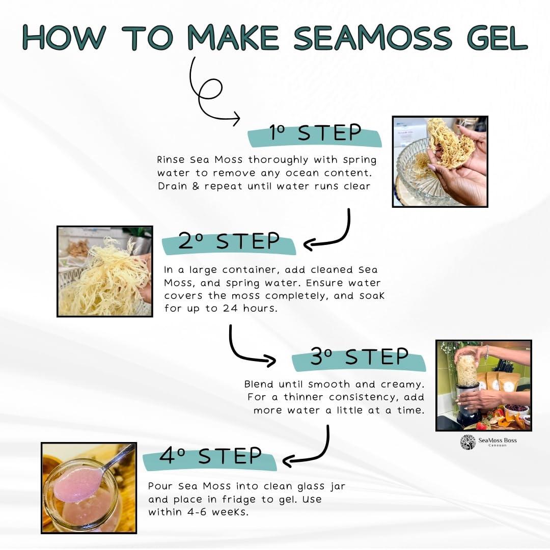 SeaMoss Boss Canouan SeaMoss Boss Canouan | Dried green sea moss | ocean harvested and sun-dried in the remote Grenadine Islands | Easy to use | Makes 300oz sea moss gel