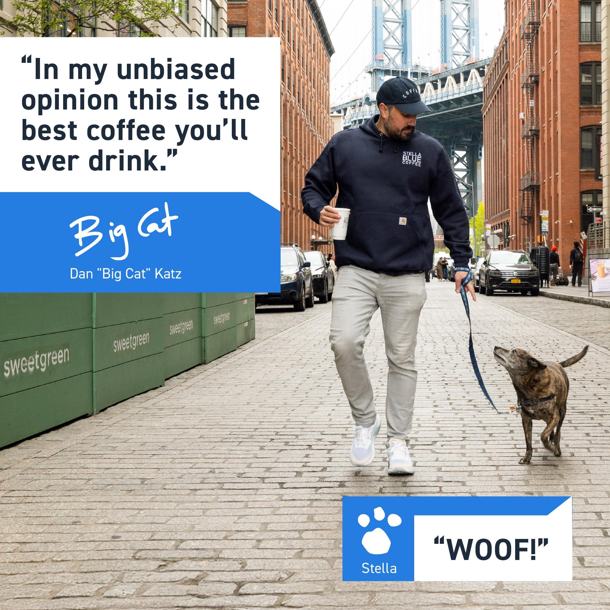 Stella Blue STELLA BLUE Fresh K Cup Coffee Pods | Electric Avenue Blend | 100% Arabica DARK Roast | Ethically & Sustainably Sourced from Central America | Helps Support PAWS Chicago | 12 Single Serve Pods