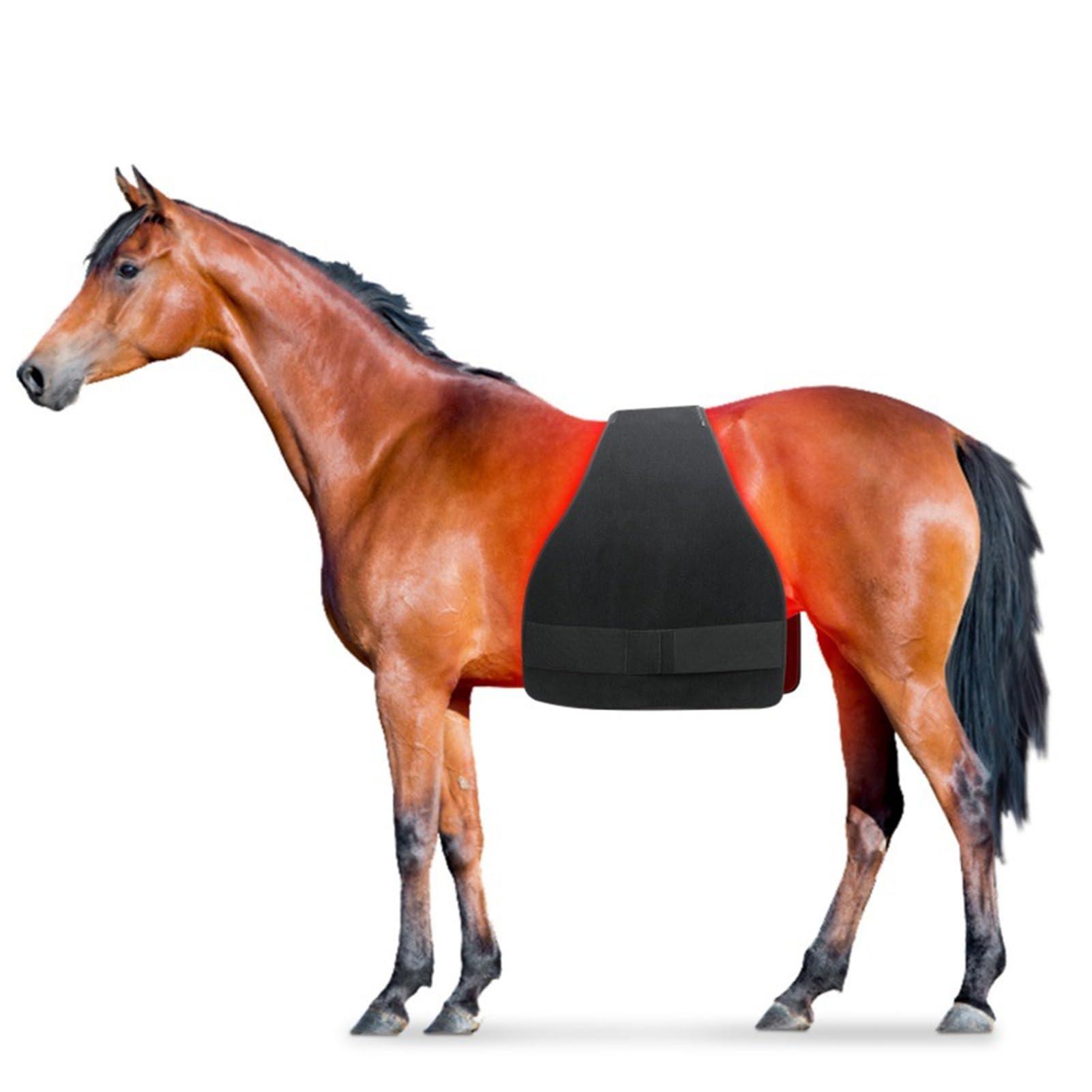 Aniwini Horse Use Red Light Therapy Pad 660nm 850nm Red Infrared Belt for Horse Buttocks, Abdomen, Back, Front Legs and Hind Legs Muscle Recovery