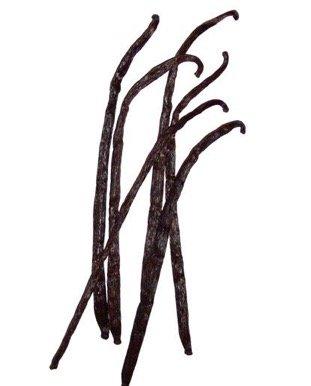 Bickford Flavors Bickford Flavors 4X Pure Vanilla Extract (8 Fl. Oz.)