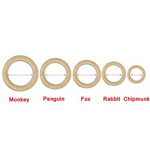 Only Dental 500 Pcs Dental Orthodontic Rubber Bands Orthodontic Elastic Orthodontic Supply (5/16" 3.5 Oz)