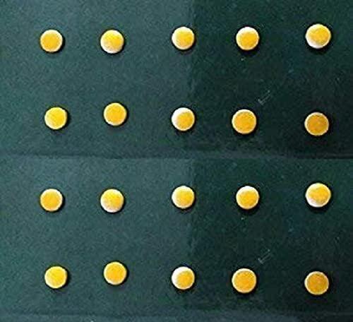 HPS - HEALTHY LIFE BEGIN HPS Sujok Therapy Acupressure Byol Point Magnets (Set of 120) +5pcs Sujok Rings