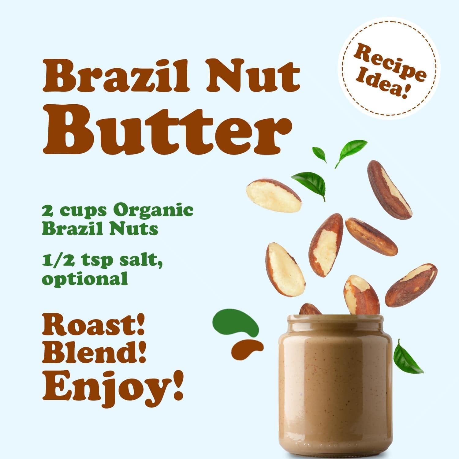 Food to Live Food to Live - Organic Brazil Nuts, 1 Pound Non-GMO, Raw, Whole, No Shell, Unsalted, Kosher, Vegan, Keto, Paleo Friendly, Bulk, Trail Mix Snack, Good Source of Selenium.