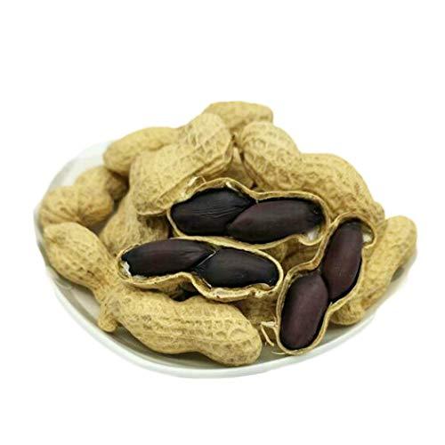 HelenOu666 HelenOu666 Chinese Shandong Fresh Black-skinned Peanuts (unshelled peanuts, 500g/17.6oz)