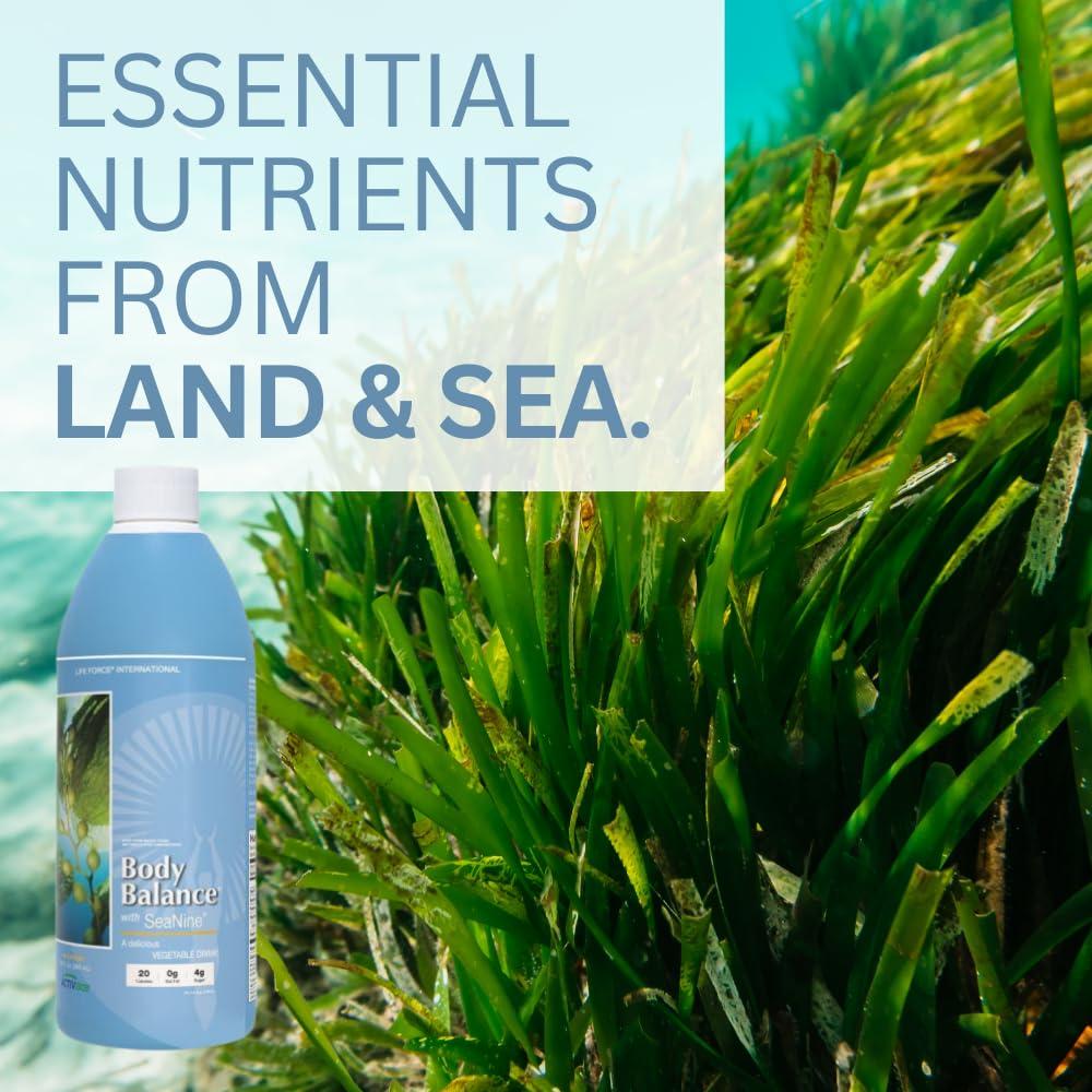 Life Force Life Force Youngevity Body Balance Land & Sea Plant Based Nutrition - Sea Vegetables, Kelp, Nori, Honey, Aloe Vera, and More - 75+ Nutrients w/Vitamins, Minerals, Amino Acids - (32 Fl Oz) (6)