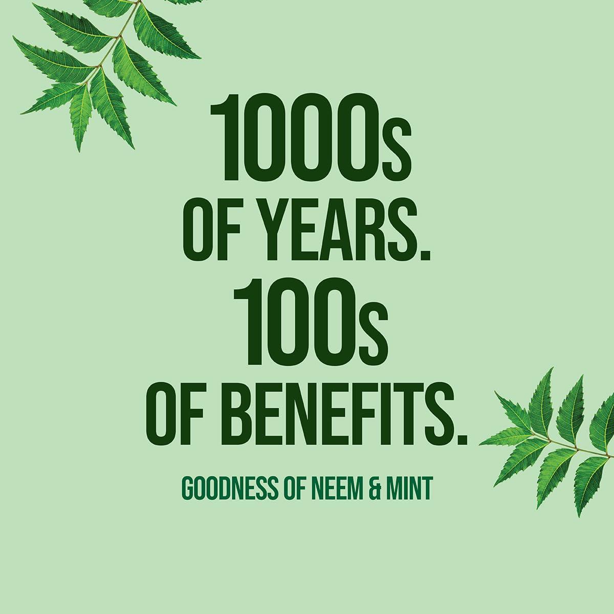 NEEM ACTIVE Neem Active Toothpaste 200 gram Pack