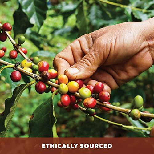 Java Planet Organic Coffee Roasters Java Planet Organic Coffee Beans Low Acid Variety Set - Colombia & Guatemala Single Origin Low Acid Arabica Whole Bean Coffee Certified Organic