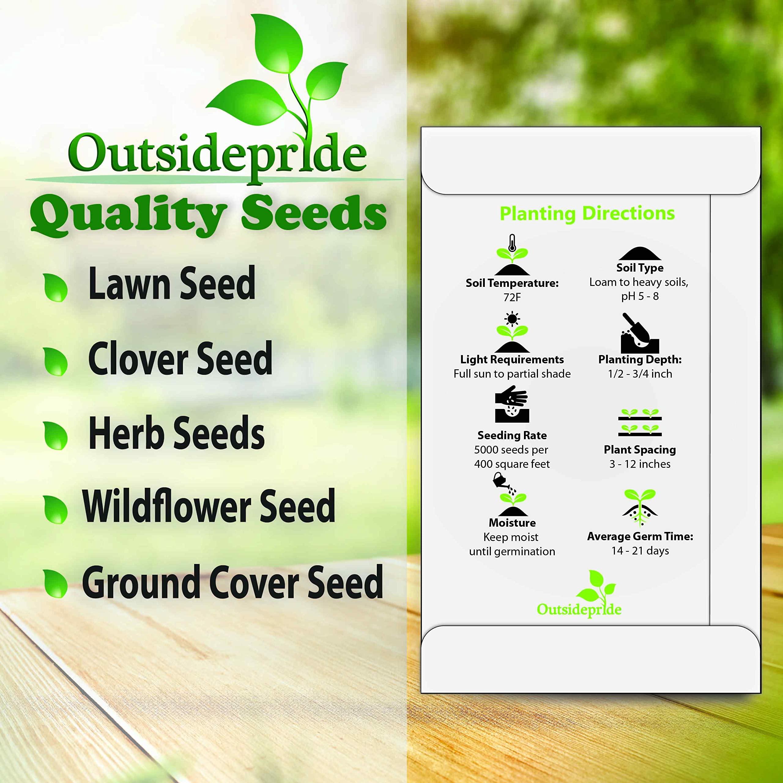 Outsidepride Outsidepride 10000 Seeds Annual Yellow Mustard Herb Garden Seed for Microgreens, Sprouts, & Cooking