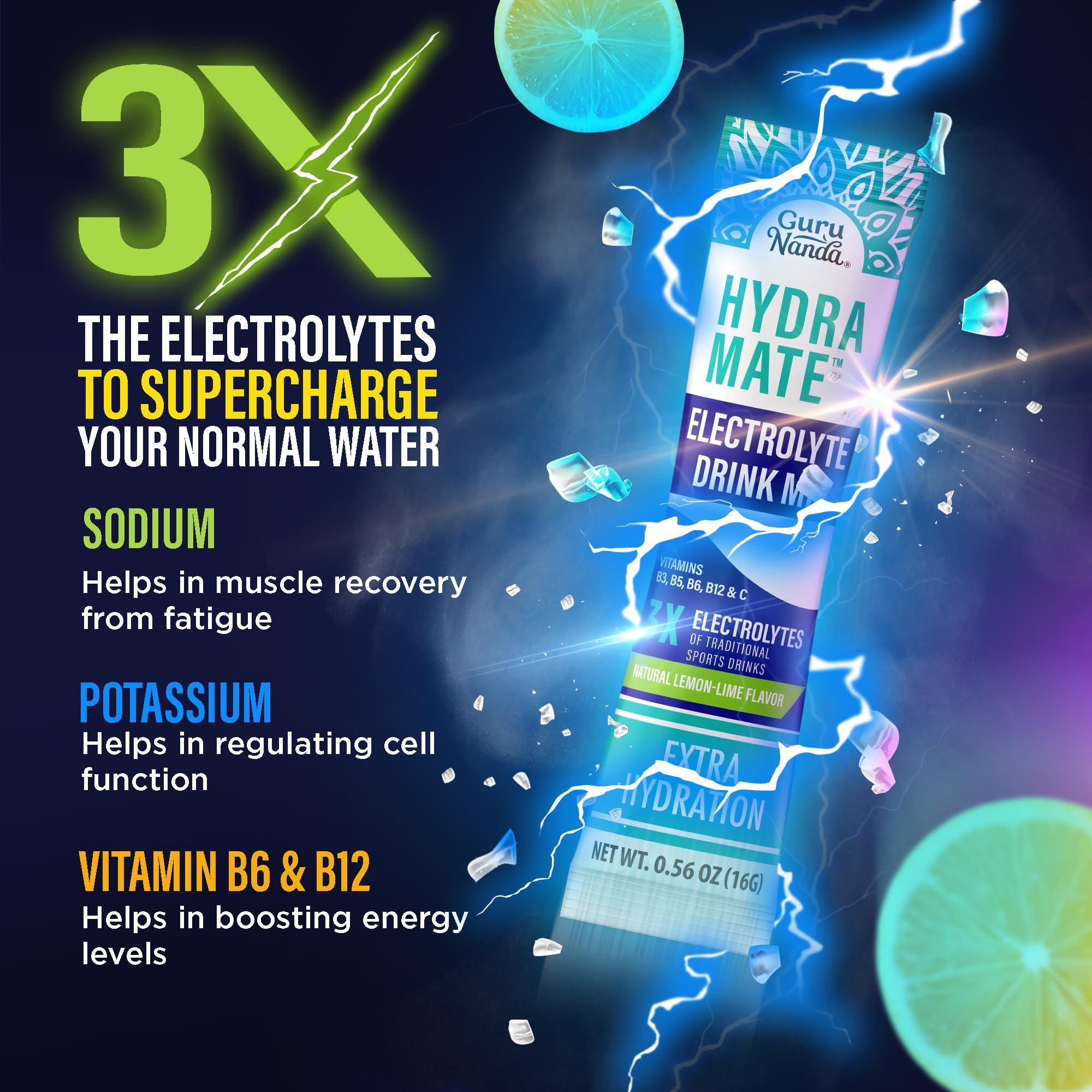 GuruNanda GuruNanda Hydramate Hydration Support Drink Mix - Electrolyte Powder Packets for Dehydration, Exercise & Energy - No Added Sweeteners, Non-GMO, Natural Lemon Lime Flavor - 12 Count (0.56 oz Each)