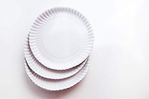 Perfectware Perfectware 9 Inch White Paper Plates 300ct