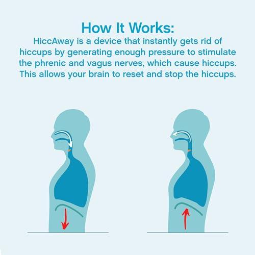 Orchard Hill [Pack of 5] [Free Measuring Spoon] Little Sheep Hotpot Soup Base 5 Flavor Variety Pack (Plain, Hot, Mala Spicy, Mushroom, Big Bone Broth) (, , , , )