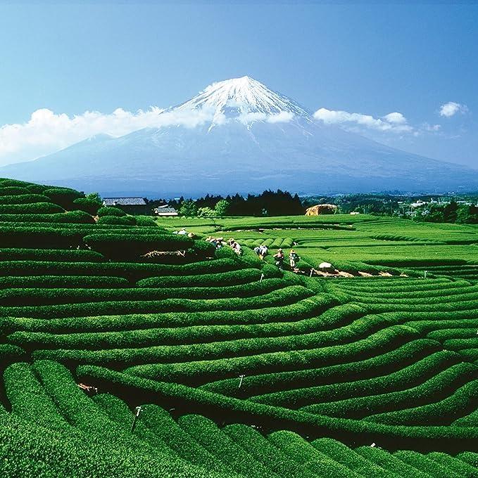 Palais des Ths Palais des Ths - Organic L\'Herboriste N74 - Premium Gourmet Herbal Tea with Limeflower, Chamomile, and Orange Blossom - 2.5oz Loose Leaf Metal Gift Tin