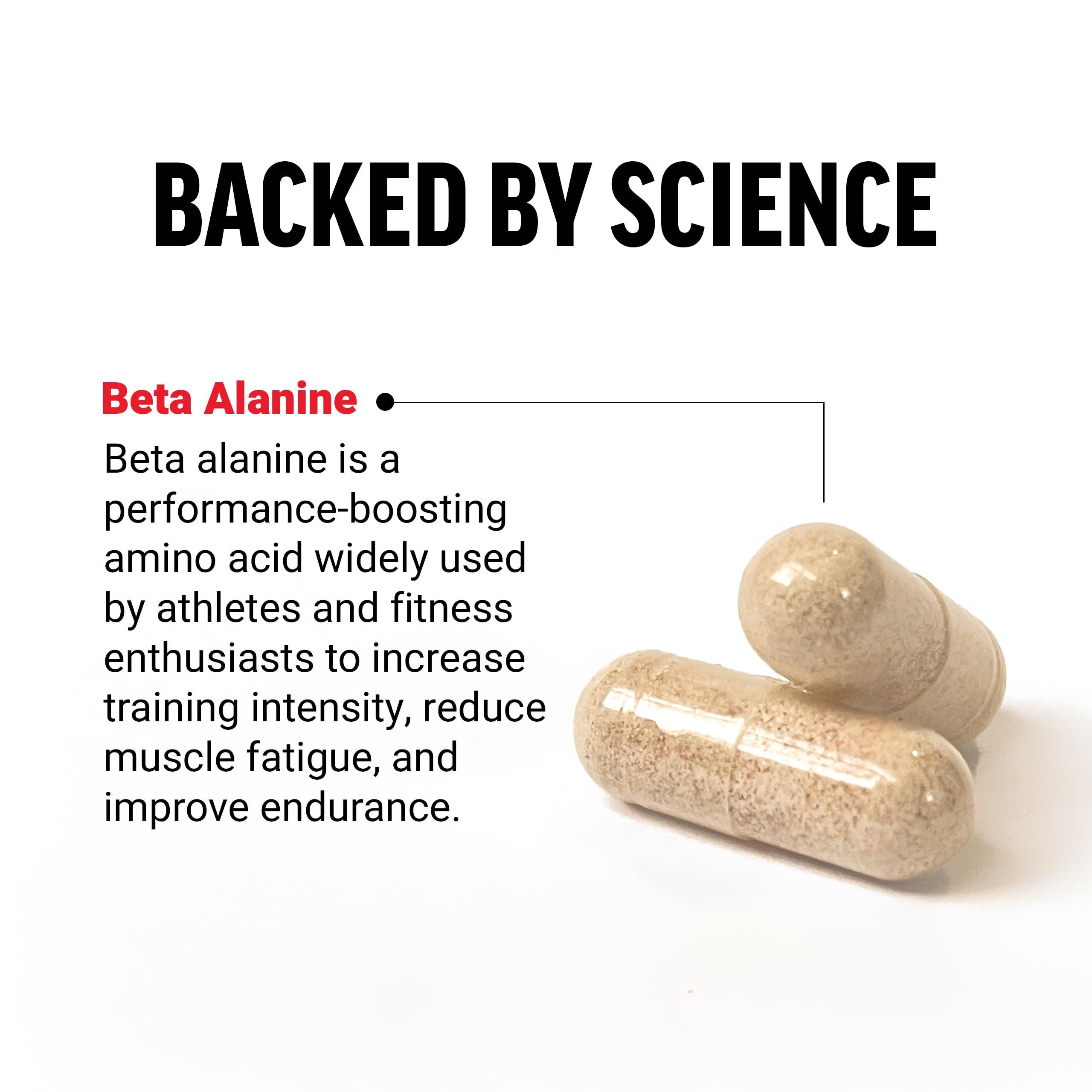 Force Factor FORCE FACTOR Beta Alanine Capsules, Beta-Alanine Endurance Supplement to Boost Performance & Reduce Fatigue, Clinical Dose, Premium Quality, Vegan, Non-GMO, 120 Capsules