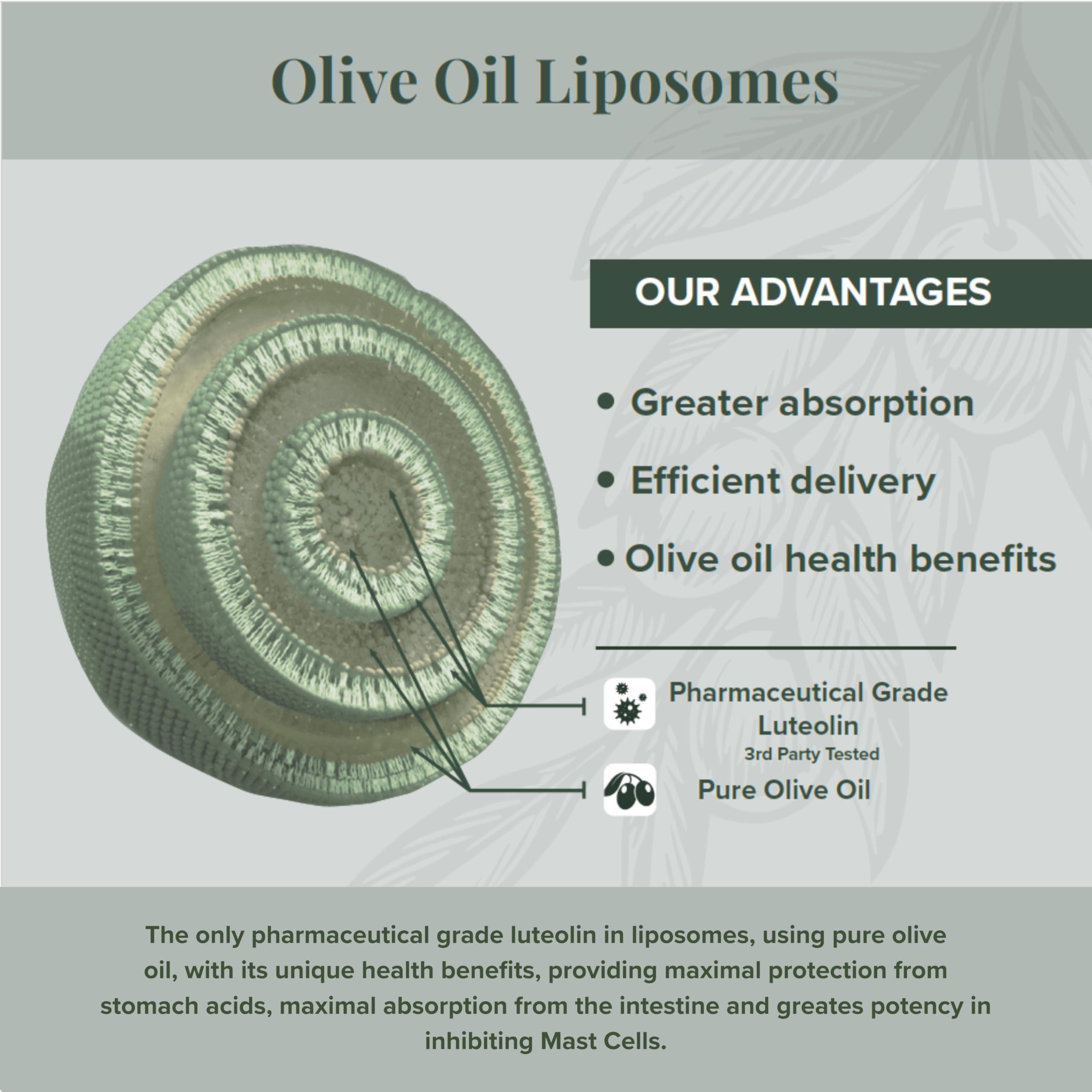 Algonot PureLut: Pure liposomal Luteolin - 60 softgels, 4 Pack, Patented Combination of Pure Luteolin in Olive Pomace Oil. for Immune Support, May Reduce damaging Free radicals & inflammatory Molecules.