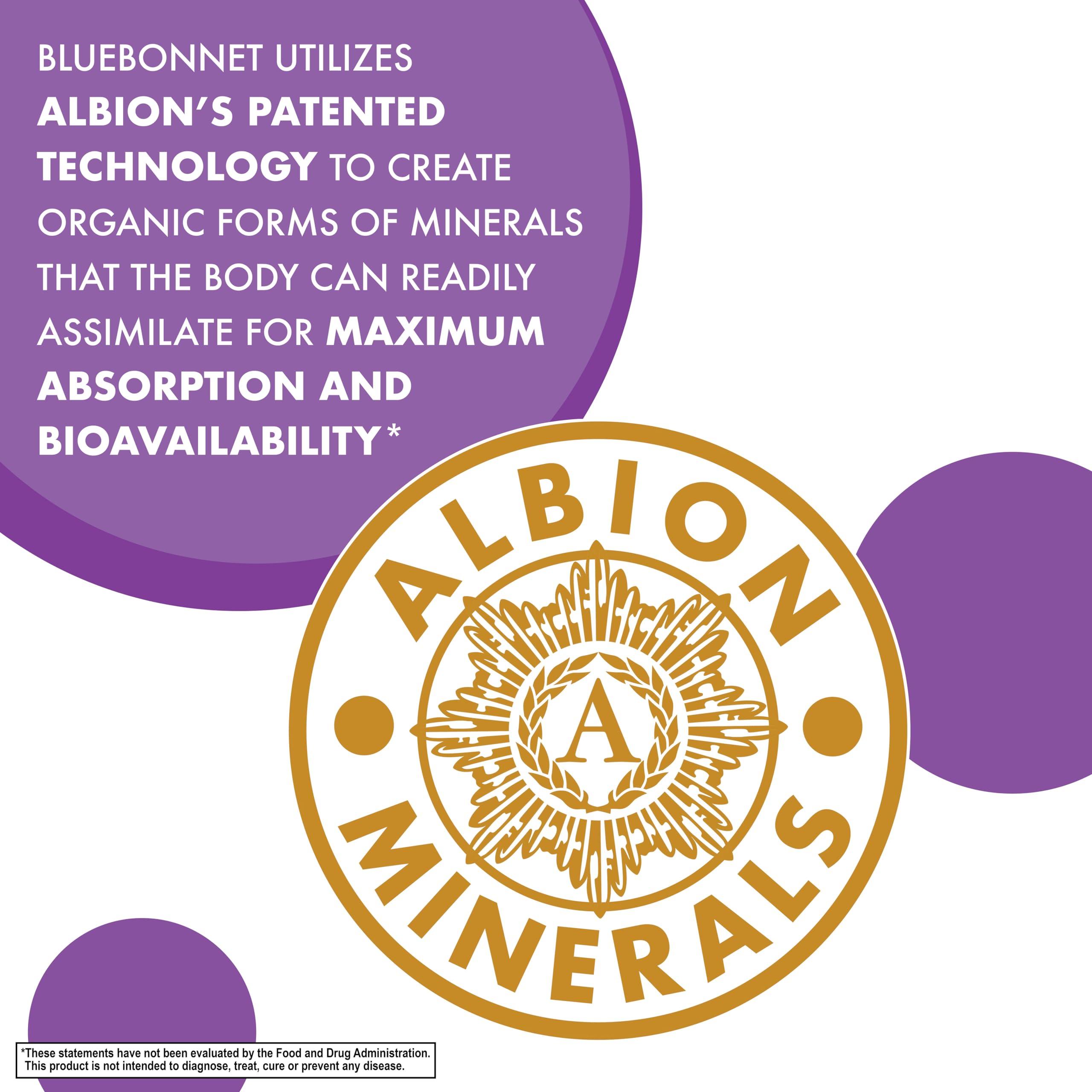 Bluebonnet Bluebonnet Nutrition Magnesium Malate Vegetable Capsules - Supports Energy, Muscle & Joint Health - Non-GMO, Vegan, Kosher Certified, Gluten-Free, 90 Count